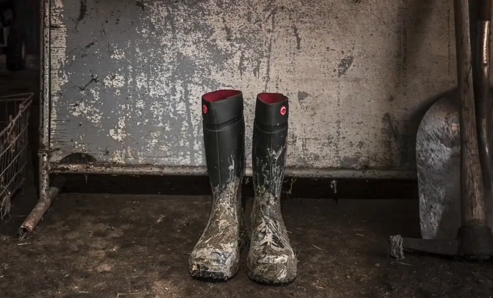 Stivali Dunlop Mens sicurezza sul sito Mesh olio e antiscivolo scarpe con  lacci